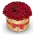 Box červených růží